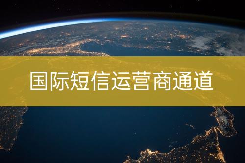 國(guó)際短信運(yùn)營(yíng)商通道