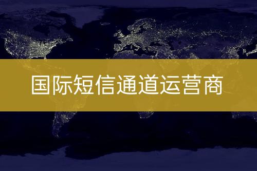 國際短信通道運營商