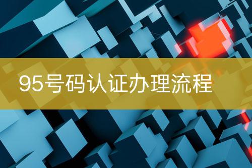 95號碼認證辦理流程