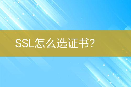 SSL怎么選證書？