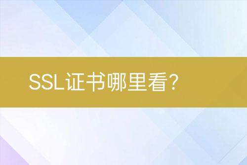 SSL證書哪里看？