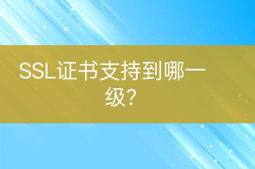 SSL證書支持到哪一級(jí)？