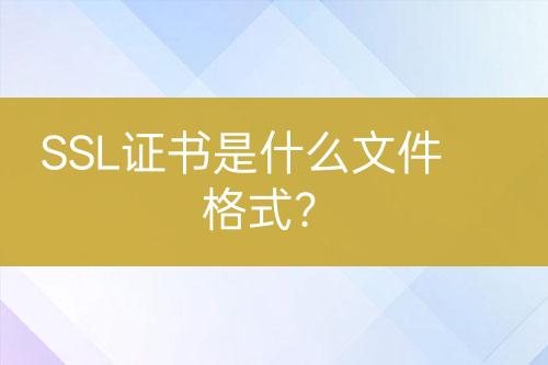 SSL證書是什么文件格式？