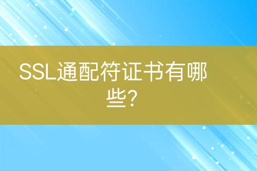 SSL通配符證書(shū)有哪些？