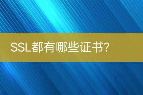 SSL都有哪些證書？
