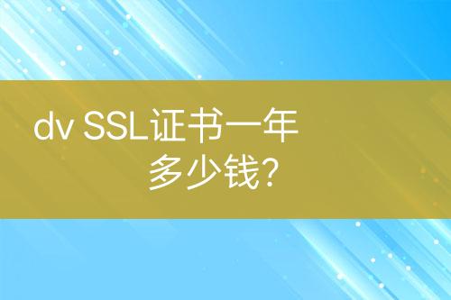 dv SSL證書一年多少錢？