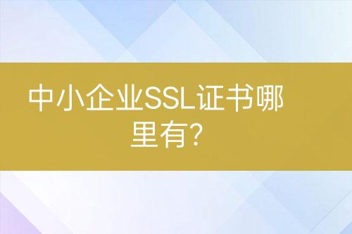 中小企業(yè)SSL證書哪里有？