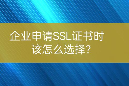 企業(yè)申請(qǐng)SSL證書(shū)時(shí)該怎么選擇？