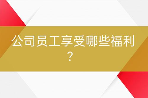 公司員工享受哪些福利？