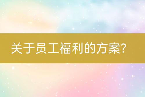 關于員工福利的方案？