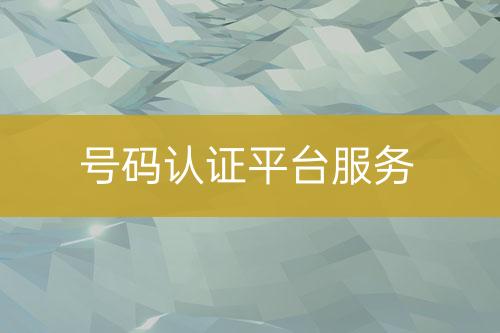 號(hào)碼認(rèn)證平臺(tái)服務(wù)