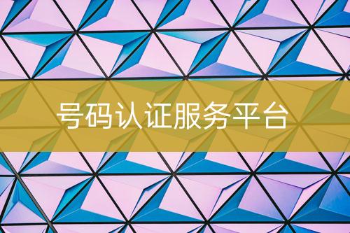 號碼認(rèn)證服務(wù)平臺