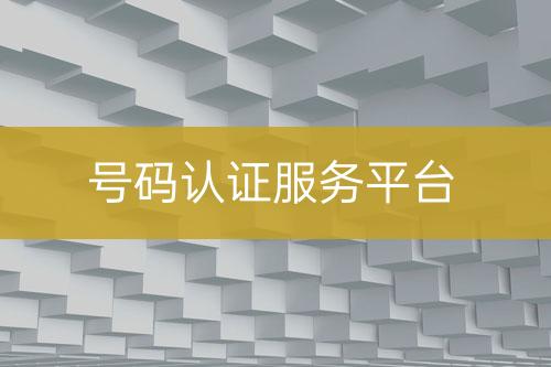 號(hào)碼認(rèn)證服務(wù)平臺(tái)