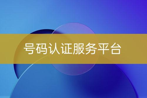 號(hào)碼認(rèn)證服務(wù)平臺(tái)