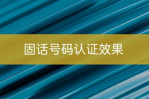 固話號(hào)碼認(rèn)證效果