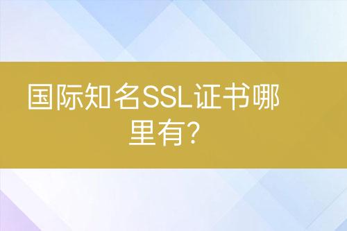 國(guó)際知名SSL證書(shū)哪里有？