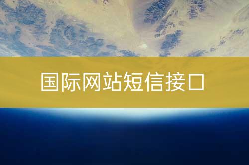 國際網(wǎng)站短信接口
