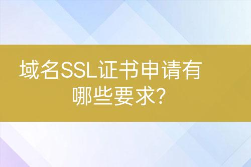 域名SSL證書申請有哪些要求？
