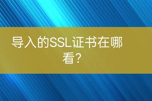 導(dǎo)入的SSL證書在哪看？