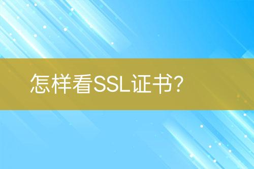 怎樣看SSL證書？