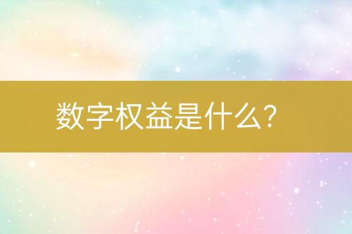 數(shù)字權益是什么？