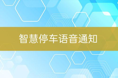 智慧停車(chē)語(yǔ)音通知