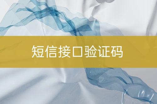 短信接口驗(yàn)證碼