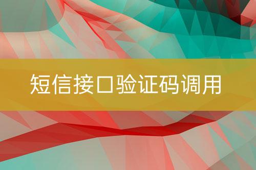 短信接口驗證碼調(diào)用