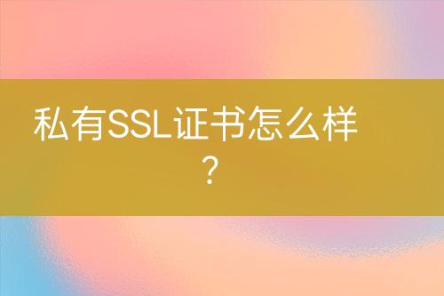 私有SSL證書怎么樣？