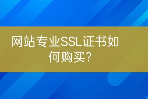 網(wǎng)站專業(yè)SSL證書如何購買？