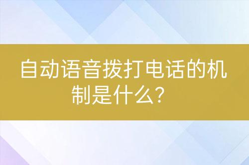 ${自定義變量_問題}