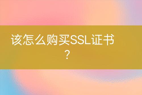 該怎么購買SSL證書？