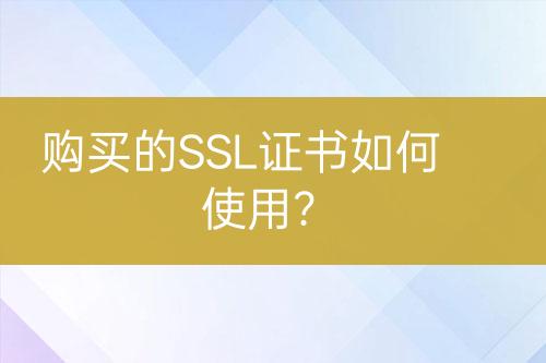 購買的SSL證書如何使用？